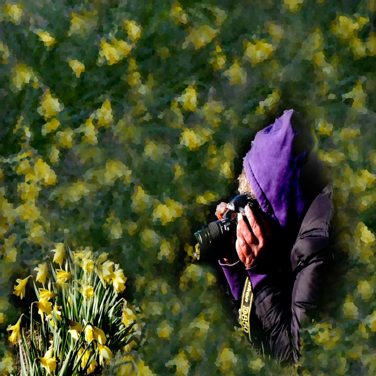 Portrait of the Photographer (iv)